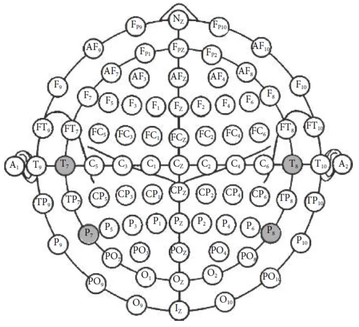 腦機(jī)接口信號(hào)采集系統(tǒng)的工作原理
